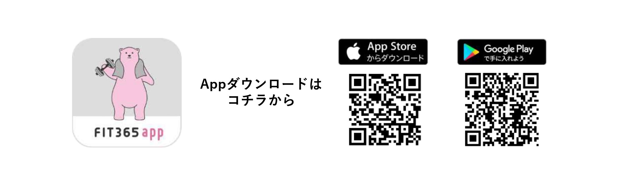フィットネスジム FIT365